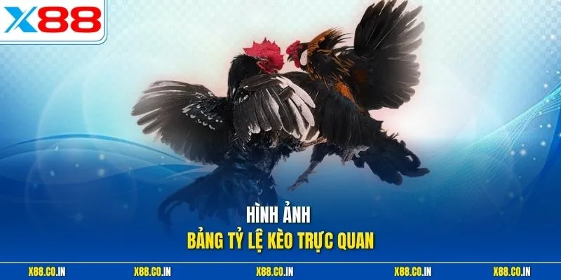 Hình ảnh bảng tỷ lệ kèo trực quan