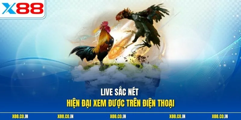 Live sắc nét hiện đại xem được trên điện thoại