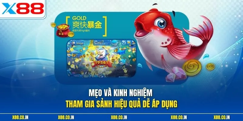 Mẹo và kinh nghiệm tham gia sảnh hiệu quả dễ áp dụng 