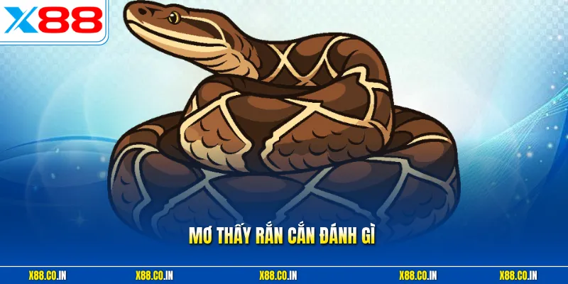 Mơ thấy rắn cắn đánh gì